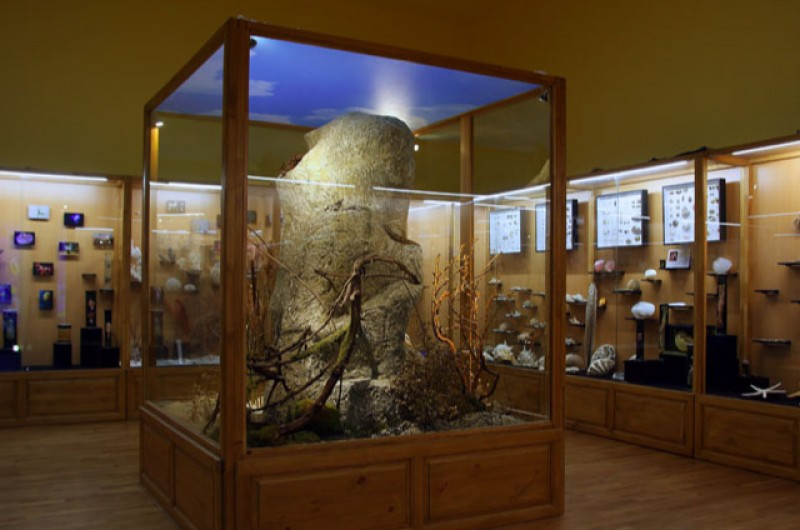 Регионален природонаучен музей-Пловдив