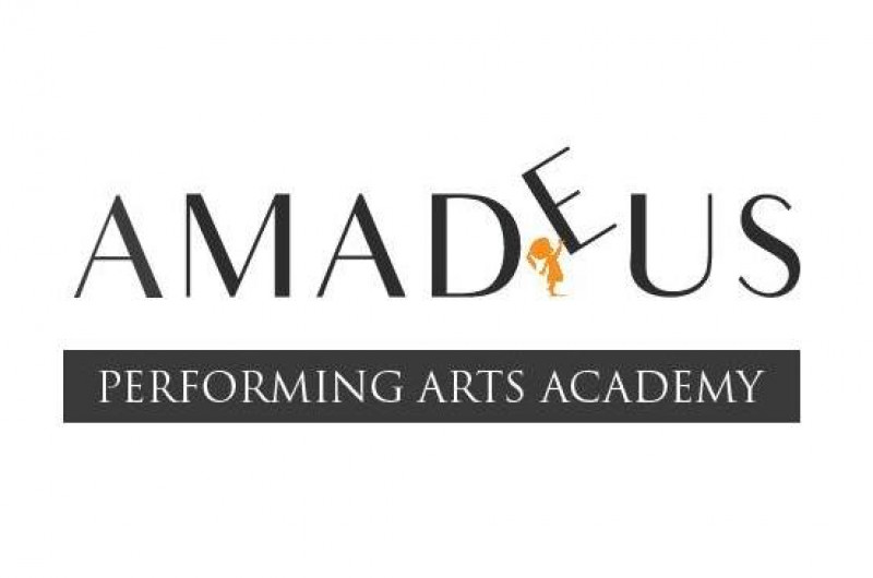Amadeus Performing Arts Academy